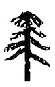 borik tree