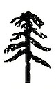 borik tree